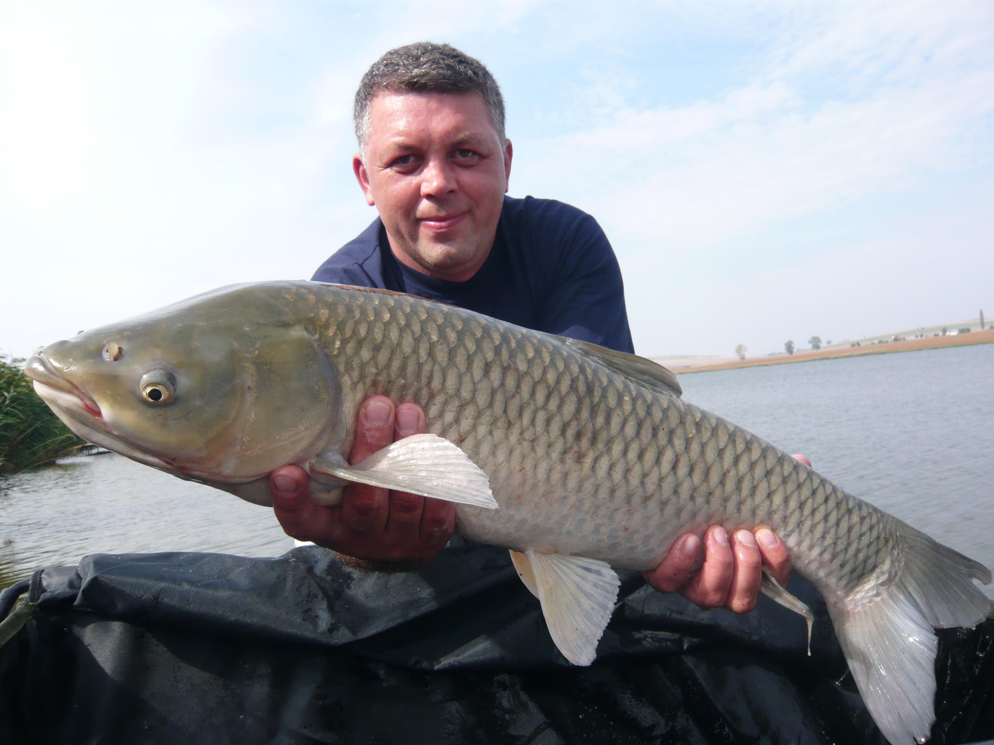 lates 2012 - P1020815.JPG